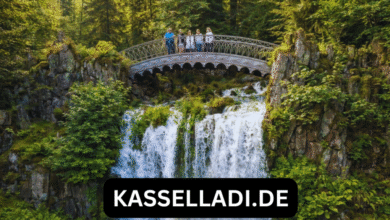 kasselladi